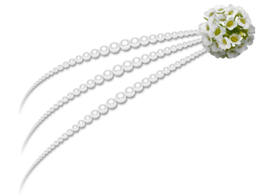 jewelry & pearls free transparent png image.