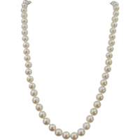 jewelry & Pearls free transparent png image.