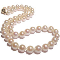 jewelry & Pearls free transparent png image.