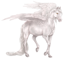 fantasy&Pegasus png image.