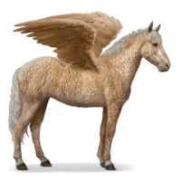 fantasy & Pegasus free transparent png image.