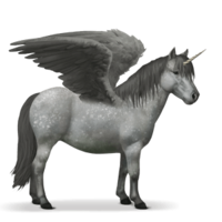 fantasy & pegasus free transparent png image.