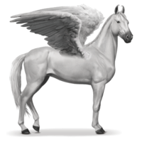 fantasy & Pegasus free transparent png image.