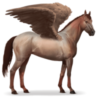 fantasy & Pegasus free transparent png image.