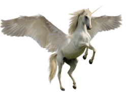 fantasy & pegasus free transparent png image.