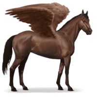 fantasy & pegasus free transparent png image.