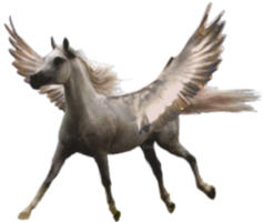 fantasy & Pegasus free transparent png image.