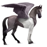 fantasy & pegasus free transparent png image.