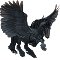 fantasy & Pegasus free transparent png image.