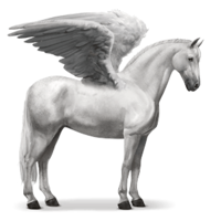 Pegasus&fantasy png image