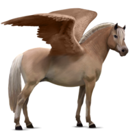 fantasy & Pegasus free transparent png image.