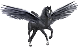 fantasy & Pegasus free transparent png image.