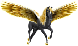 fantasy & pegasus free transparent png image.