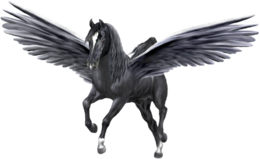 fantasy & Pegasus free transparent png image.