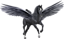 fantasy & Pegasus free transparent png image.