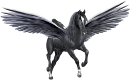 fantasy & pegasus free transparent png image.