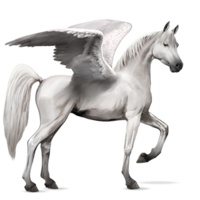 fantasy & Pegasus free transparent png image.