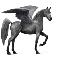 fantasy & Pegasus free transparent png image.