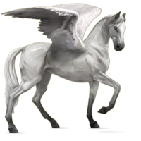 fantasy & pegasus free transparent png image.