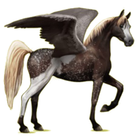 fantasy & pegasus free transparent png image.