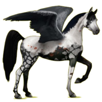 fantasy & Pegasus free transparent png image.