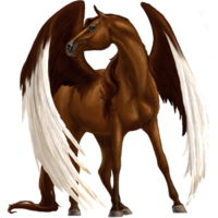 fantasy & Pegasus free transparent png image.