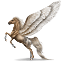 fantasy & Pegasus free transparent png image.