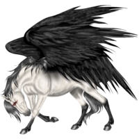 fantasy & Pegasus free transparent png image.