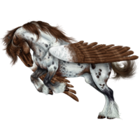 fantasy & Pegasus free transparent png image.