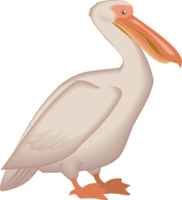 animals & Pelican free transparent png image.