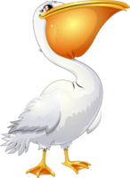 animals & Pelican free transparent png image.