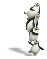 animals & penguins free transparent png image.