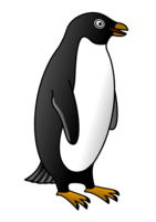 animals & Penguins free transparent png image.