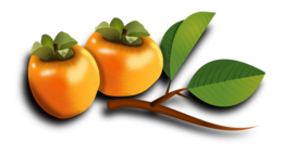 fruits & Persimmon free transparent png image.
