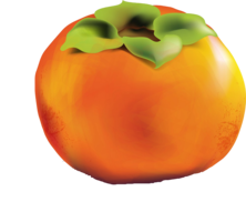 fruits & Persimmon free transparent png image.