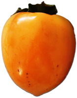 fruits & persimmon free transparent png image.