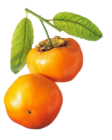 fruits & Persimmon free transparent png image.