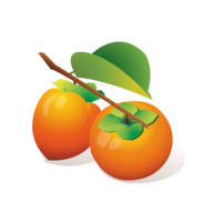 fruits & Persimmon free transparent png image.