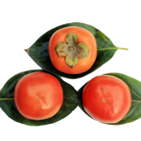 fruits & Persimmon free transparent png image.