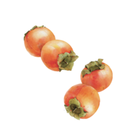 fruits & persimmon free transparent png image.