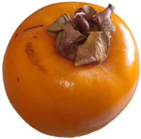 fruits & persimmon free transparent png image.