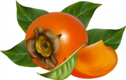 fruits & Persimmon free transparent png image.