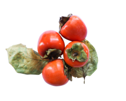 fruits & persimmon free transparent png image.