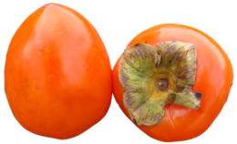 fruits & persimmon free transparent png image.