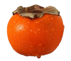 fruits & Persimmon free transparent png image.