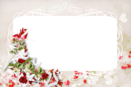 miscellaneous & picture photo frame free transparent png image.