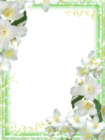 miscellaneous & picture photo frame free transparent png image.