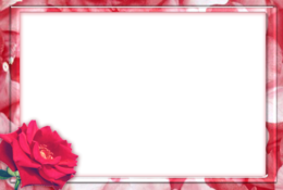 miscellaneous & picture photo frame free transparent png image.