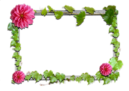 miscellaneous & Picture photo frame free transparent png image.