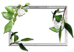 miscellaneous & Picture photo frame free transparent png image.